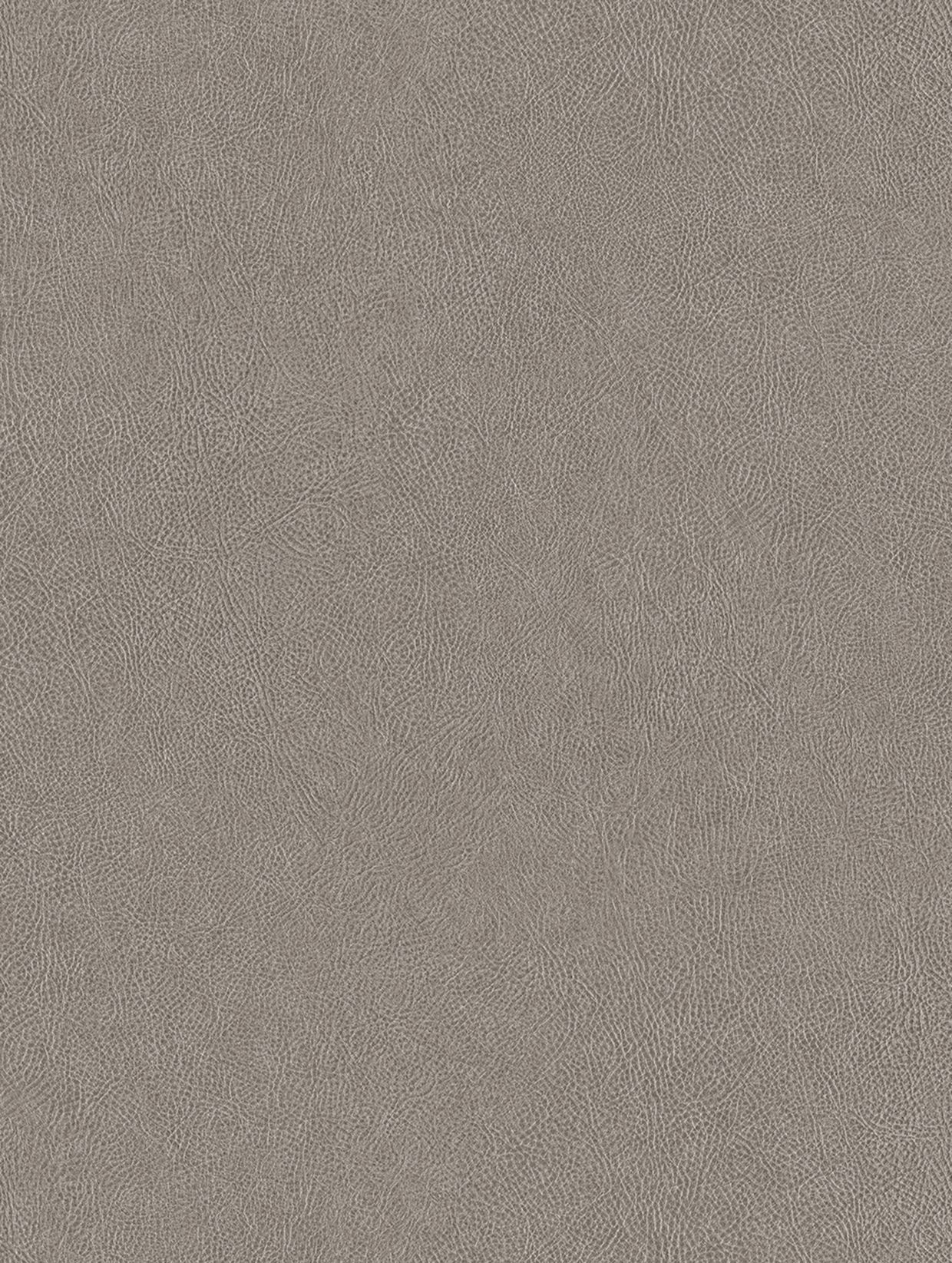Cashmere - NE41