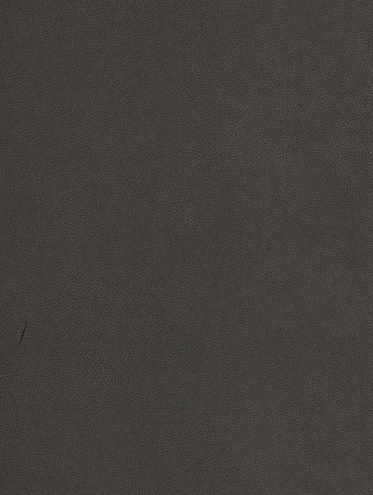 Truffle - NE40