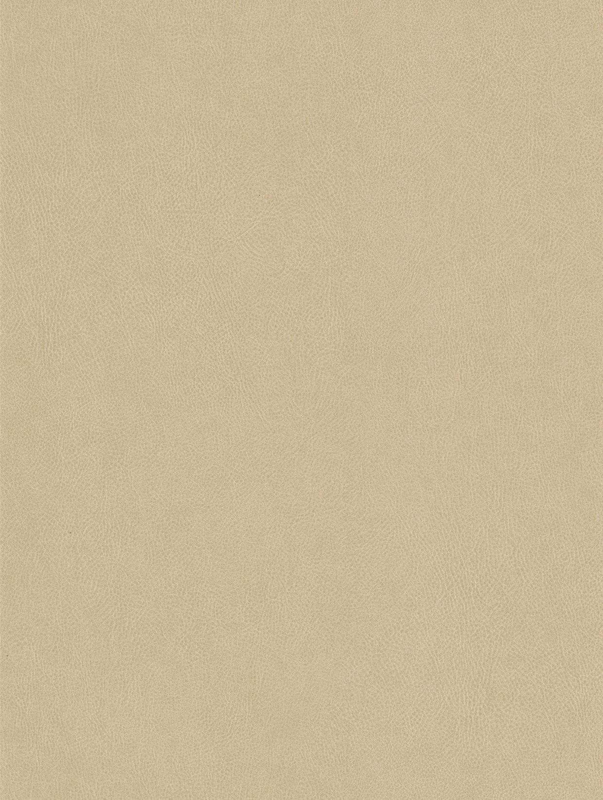 Cashmere - NE42