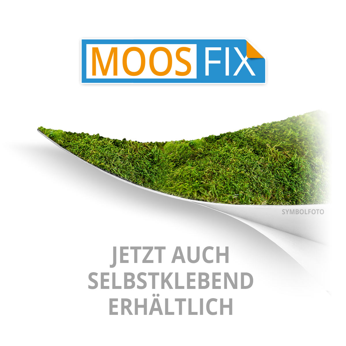 Islandmoos Logos / Schriften - Fichte - mit Rahmen